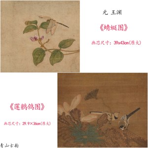 1:1元 王渊 蜻蜓图莲鹡鸰图小品国画古画工笔花鸟装饰画高清微喷