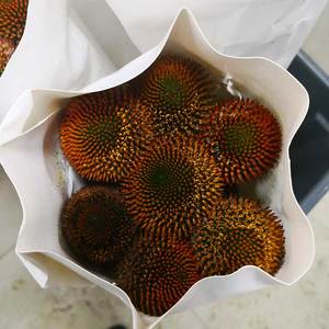 猫眼 鲜花鲜切花 家庭用花 花束鲜花速递上海同城江浙沪皖2扎包邮