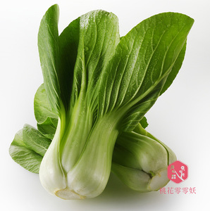 大叶黑大头油菜青菜种子高产大棚田园耐寒蔬菜水果四季春秋播图片