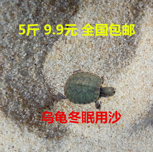 养乌龟冬眠沙产蛋下蛋细沙土鱼缸沙池铺底沙石龟沙孵化专用沙砂子
