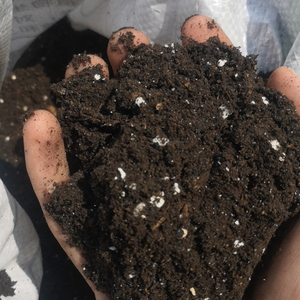 泥炭营养腐殖土园艺园林绿化用营养种君子兰花土草炭土