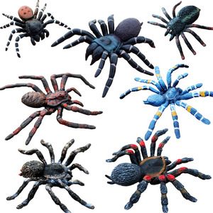 仿真昆虫玩具动物模型大号黑蜘蛛套装儿童认知狼蛛捕鸟蛛漏斗蜘蛛