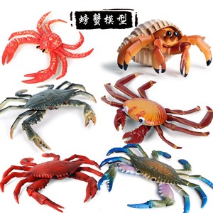 仿真动物模型海洋螃蟹莎莉蟹寄居蟹梭子蟹三点蟹塑胶儿童玩具认知