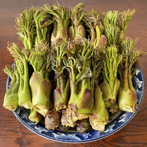 东北野生刺嫩芽新鲜山野菜刺老芽山菜刺龙芽一斤装顺丰包邮
