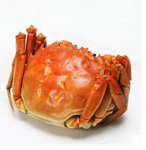 苏州太湖生态大闸蟹鲜活螃蟹特大全公4.4母3.2淡水海鲜水产礼盒装