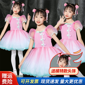云川之舞桃萌幺幺演出服装六一儿童舞蹈纱裙幼儿园表演公主蓬蓬裙