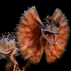 包邮itoy折伞双脊龙侏罗纪恐龙双冠龙双博物馆收藏模型玩具现货