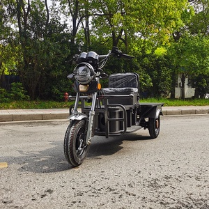 新款载重王三轮车大力神电动车送快递车拉货载货60-72v代步车