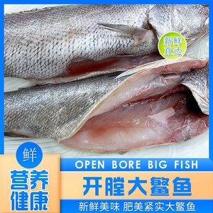 三去米鱼新鲜野生鳌鱼深海鮸鱼海捕鲜活速冻海鲜冷冻生鲜水产3斤