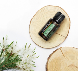 多特瑞正品 澳洲茶树精油 互生叶白千层 去痘 纯正理疗级15毫升