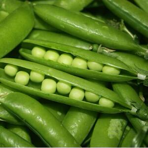 包邮 农家露天种新鲜蔬菜带壳豌豆荚 甜豆 绿色天然养生小甜豆1斤