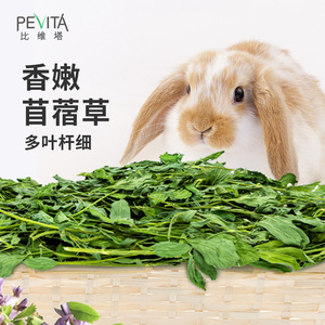 pevita比维塔香嫩烘干苜蓿草21年新鲜干草牧草龙猫豚鼠兔子饲料