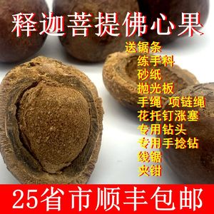 菩提果原果天然