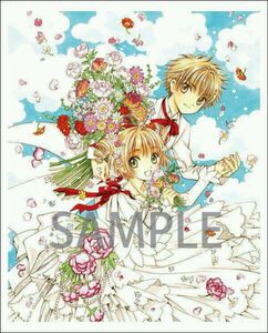 日本正版周边 一番a赏 魔卡少女樱 李小狼 木之本樱 樱狼 装饰画