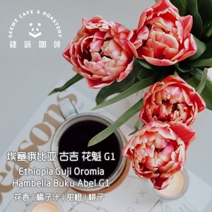 肆味手冲单品 埃塞古吉 花魁 新鲜烘焙咖啡豆227g/挂耳5包装 花香