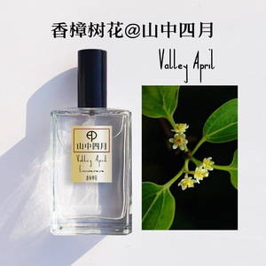 山中四月香樟树花香水 阴香月桂树花肉桂树清新幽香男士女士小众
