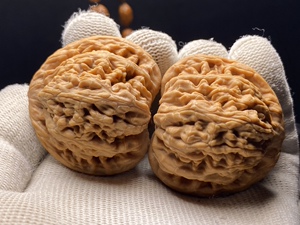 望月狮子头野生山顶