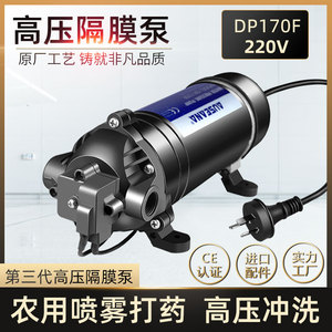 DP-170F超高压力自吸泵220v加压喷雾机器纯净水设备增压清洗水泵