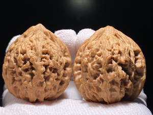 41mm大沽石野生小众门头沟大粗筋狮子头九龙尊骨质硬极品精配核桃