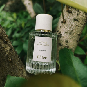 chloe蔻依仙境花园北国雪松橙花之舞木兰纸莎草含羞草edp香水50ml