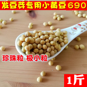 1斤发豆芽专用豆小黄豆690极小粒500g东北非转基因生豆芽黄豆种子