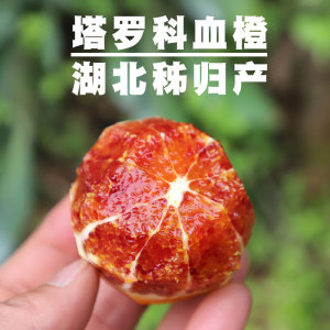 塔罗科血橙 湖北秭归精品产区 含花青素的橙子 玫瑰香味 鲜甜清爽