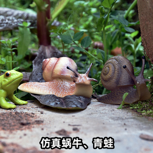 仿真蜗牛青蛙模型野生动物儿童玩具实心PVC昆虫类环保场景摆件