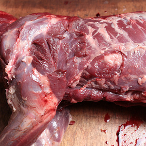 东北老农 獾肉 正宗狗獾子肉 獾子肉 净肉 无油无内脏 整只肉