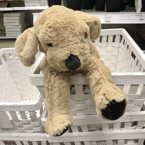 ikea宜家 古西格格登 大小黄狗 毛绒儿童玩具 宜家网红公仔金毛狗