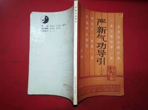 霓虹灯下夜色撩人淘宝国际著名气功大师严新 道家大成功法气功养生