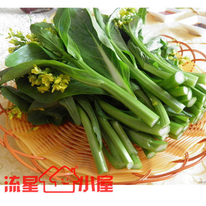 阳台种菜 尖叶美绿油青甜菜心 小油菜种子 28至30天采收 约1000粒