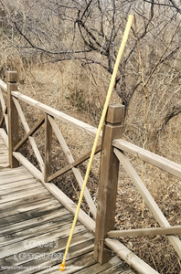 老许文玩 野 生降龙木 十二道木精品手杖 文人杖&nbsp;纯12道棍王7729