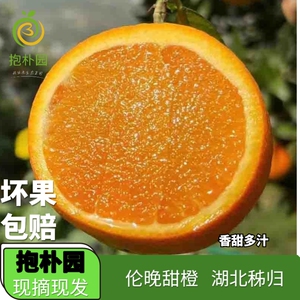抱朴园伦晚甜橙子湖北秭归长江产地现摘直发应季时令新鲜水果原生