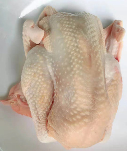 惠东乡下野放走地鸡生宰鲜鸡净重:4斤左右 148元/只广东顺丰包邮
