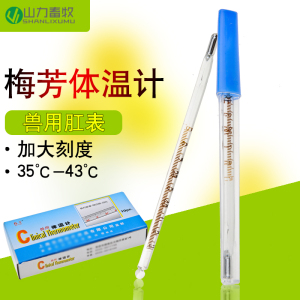 水银体温计肛表