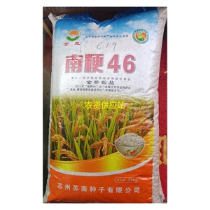 金奖江苏大米南粳46水稻种子稻谷圆粒香米种子好吃大米口感软香糯