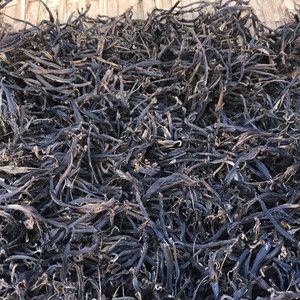 农村阿婆自晒中药材干芭蕉花蕾 野生大蕉芭蕉花干煲汤熬水100克