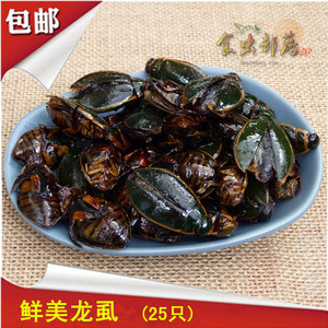 野生龙虱金边龙虱新鲜龙虱鲜美野味鱼鳖包邮
