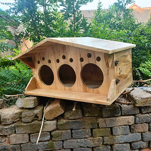 实木制室外防雨鸽子窝超大鸽巢鹦鹉繁殖孵化箱配对防腐木屋可定制