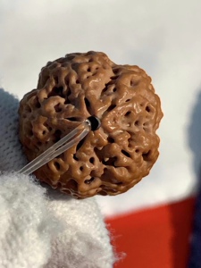 正宗五星上将!针孔蜂王天然原生态秒沉高油尼泊尔大金刚菩提手串