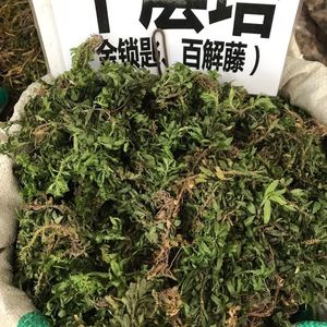 野小叶千层塔中药材 500克包邮千层塔大号 毛青杠 虱子草 晒干