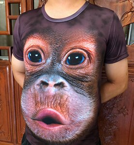搞笑大猩猩短袖男夏季个性3d印花动物猴子短t恤大码衣服半截袖衫