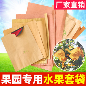 水果套袋包葡萄梨子桃子柚子苹果石榴枇杷果树纸袋专用袋防鸟防虫
