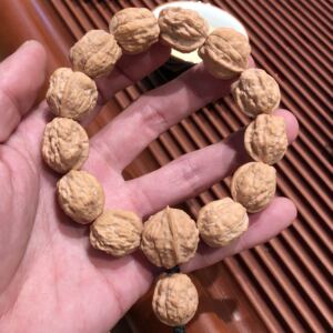 野生金蟾蛤蟆头小核桃小秋子京八棱