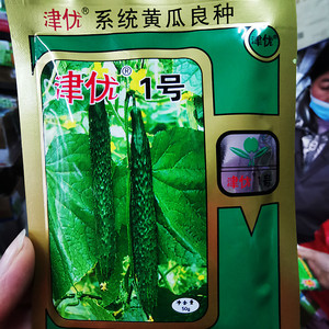 天津科润研究院津优1号黄瓜种子瓜把短质脆农家菜园大田春秋播种