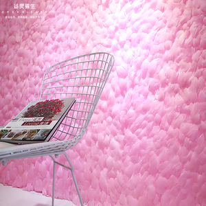ins初上花墙羽毛墙背景墙面装饰花墙花巷婚礼场景布置网红墙装饰