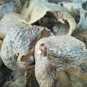 海南特产盐爆去刺海刺猬鱼海胆皮刺豚鱼皮干刺龟鱼皮煲汤材250克