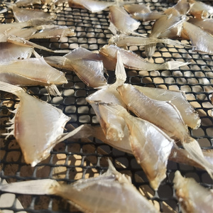 海南特产干鱼