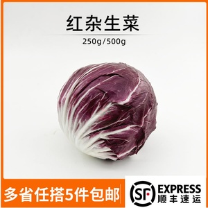 新鲜红包蔬菜红杂红菊苣落地球意大利紫菊苣健身西餐厅沙拉菜250g