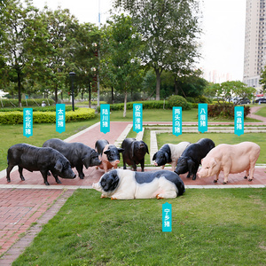 仿真黑猪玻璃钢雕塑摆件陆川猪荣昌花猪模型庭院园林景观动物装饰